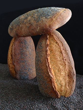 Buckwheat standing stones. © Martin Belderson