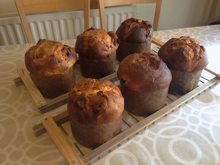 Racked panettone. © Martin Belderson