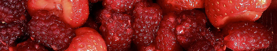 Roundhay garden loganberries and strawberries soaked in sweetened Roundhay raspberry wine vinegar. © Martin Belderson