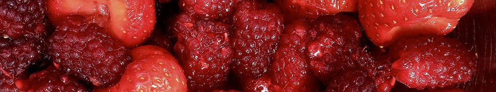 Roundhay garden loganberries and strawberries soaked in sweetened Roundhay raspberry wine vinegar. © Martin Belderson