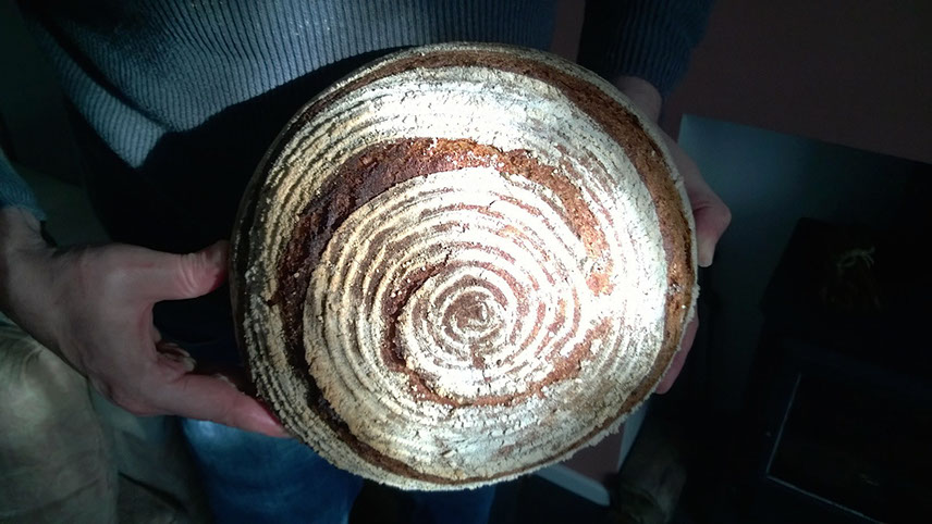 Sourdough miche. © Martin Belderson