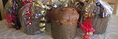 Traditional four-dough artisan panettone ready for Christmas delivery. © Martin Belderson