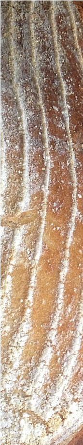 Crust of a sourdough bâtard. © Martin Belderson