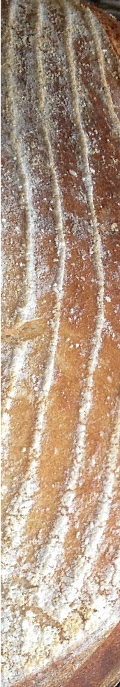 Crust of a sourdough bâtard. © Martin Belderson